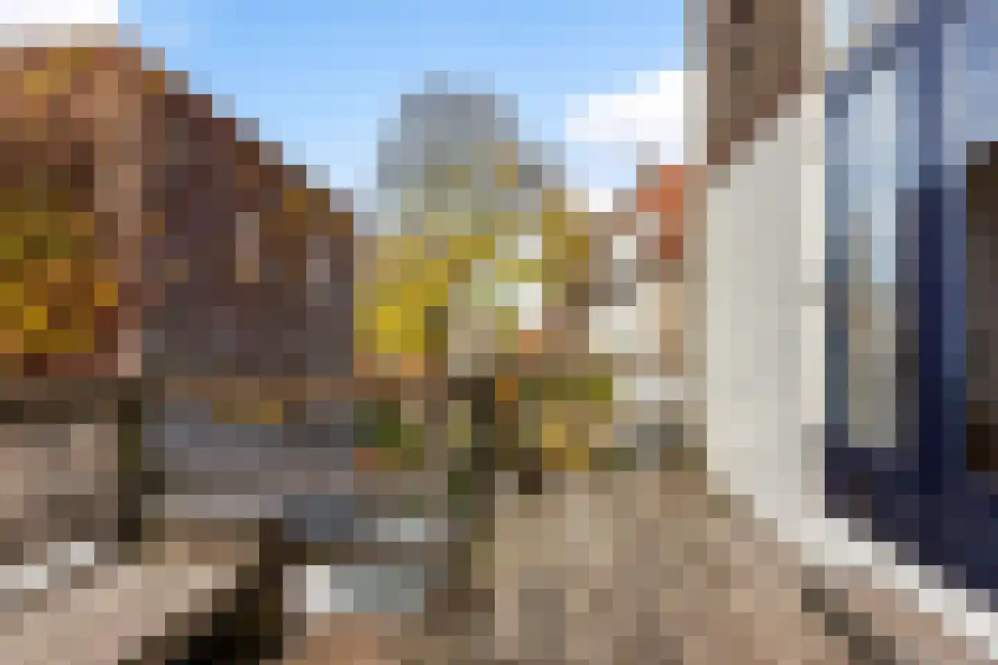 Westhaven 59 Gouda thumbnail 6