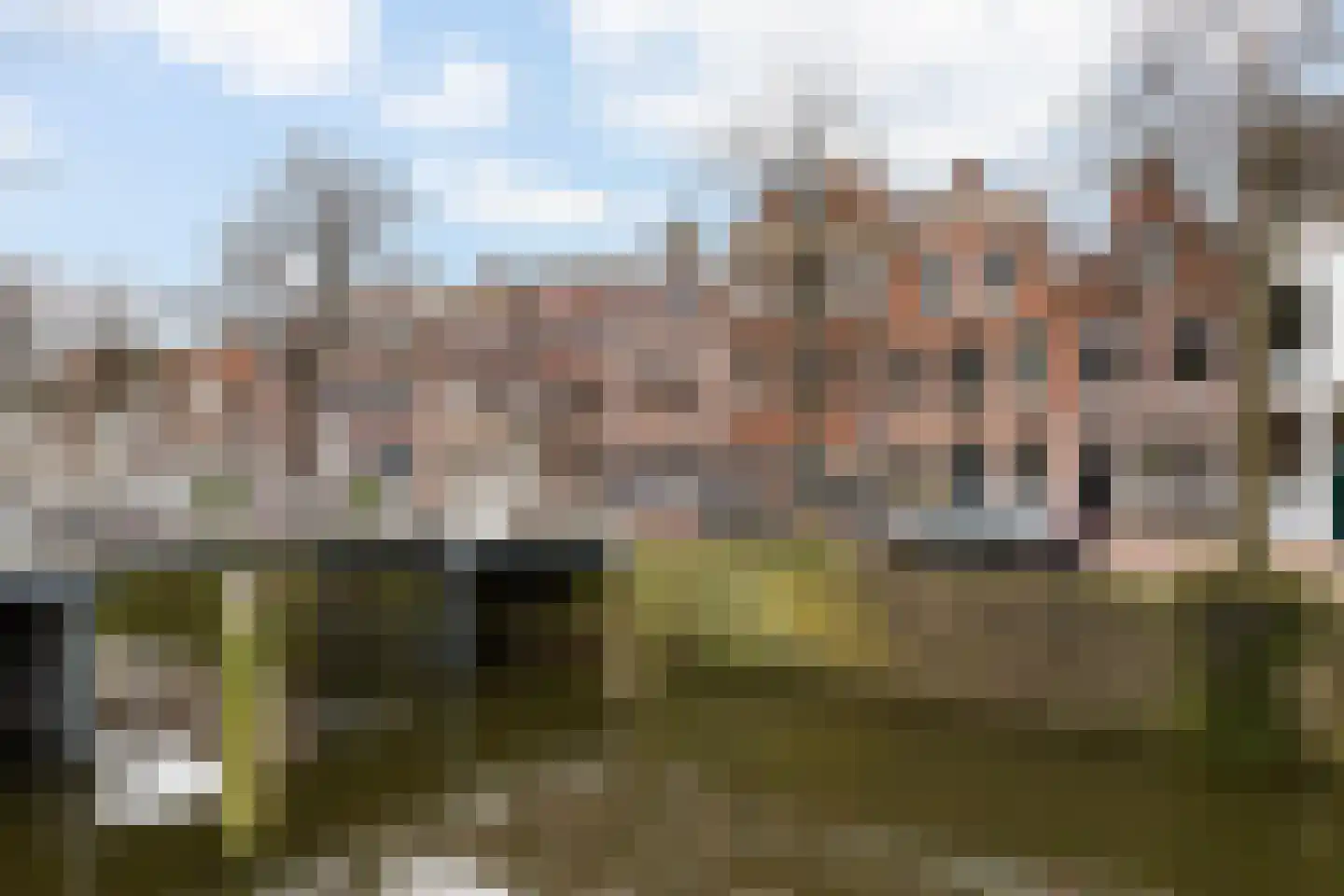 Westhaven 59 Gouda thumbnail 66