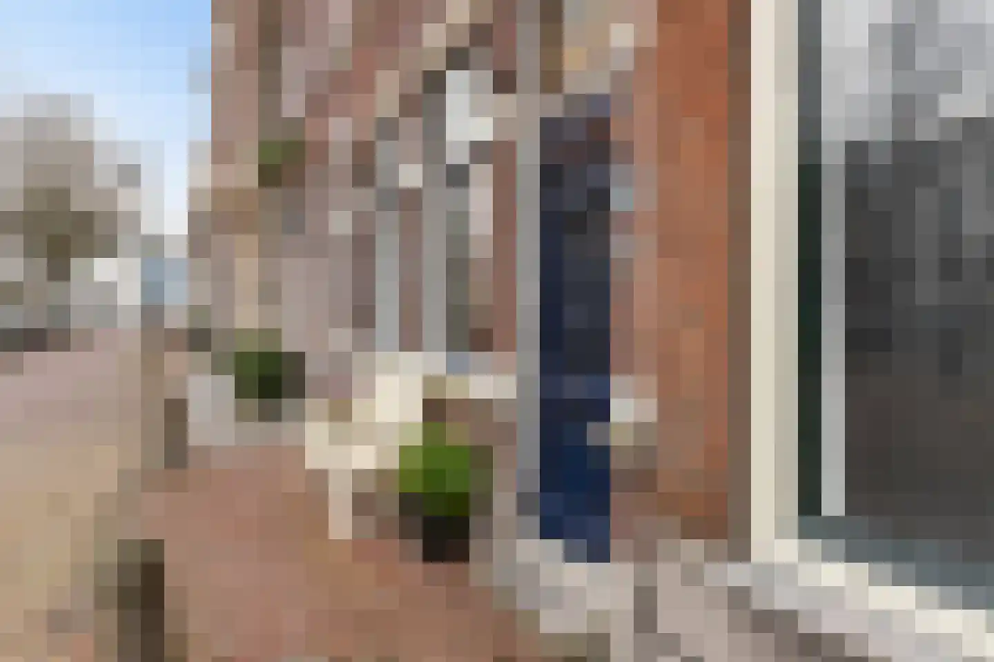Westhaven 59 Gouda thumbnail 7