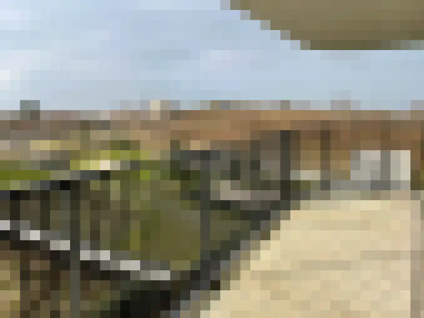 Westhavendam 11 203 Breskens thumbnail 22