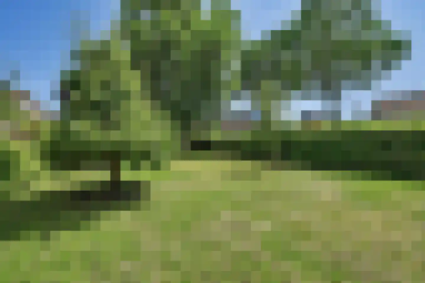 Westhavendijk 12 Kamperland thumbnail 33