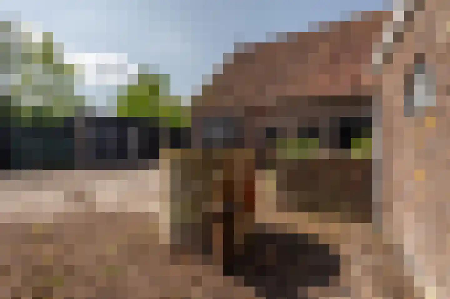 Westhavendijk 134 Goes thumbnail 18