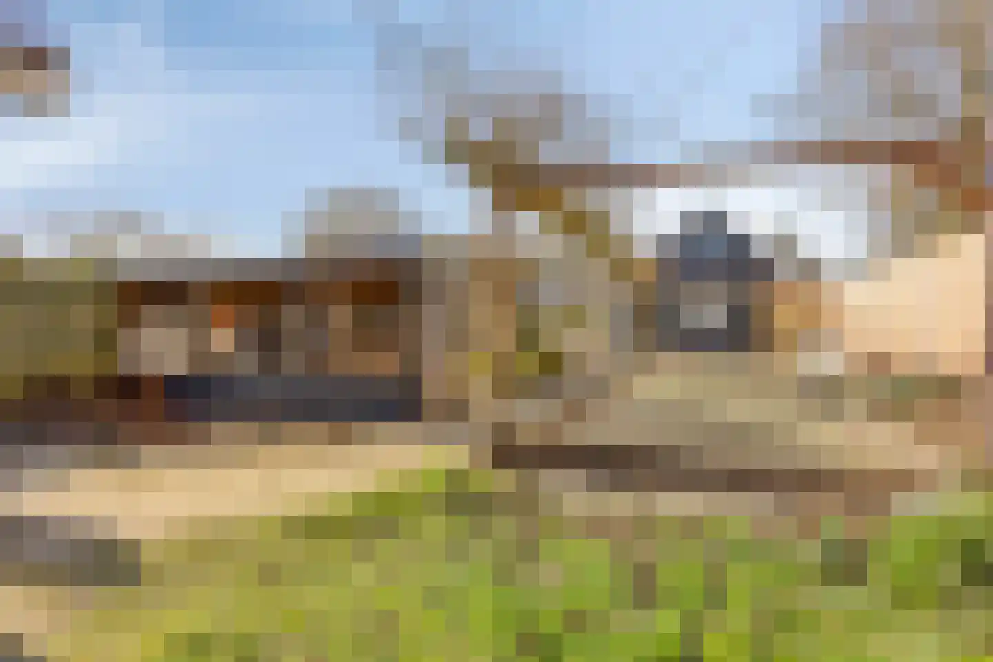 Westhavendijk 38 Wilhelminadorp thumbnail 31