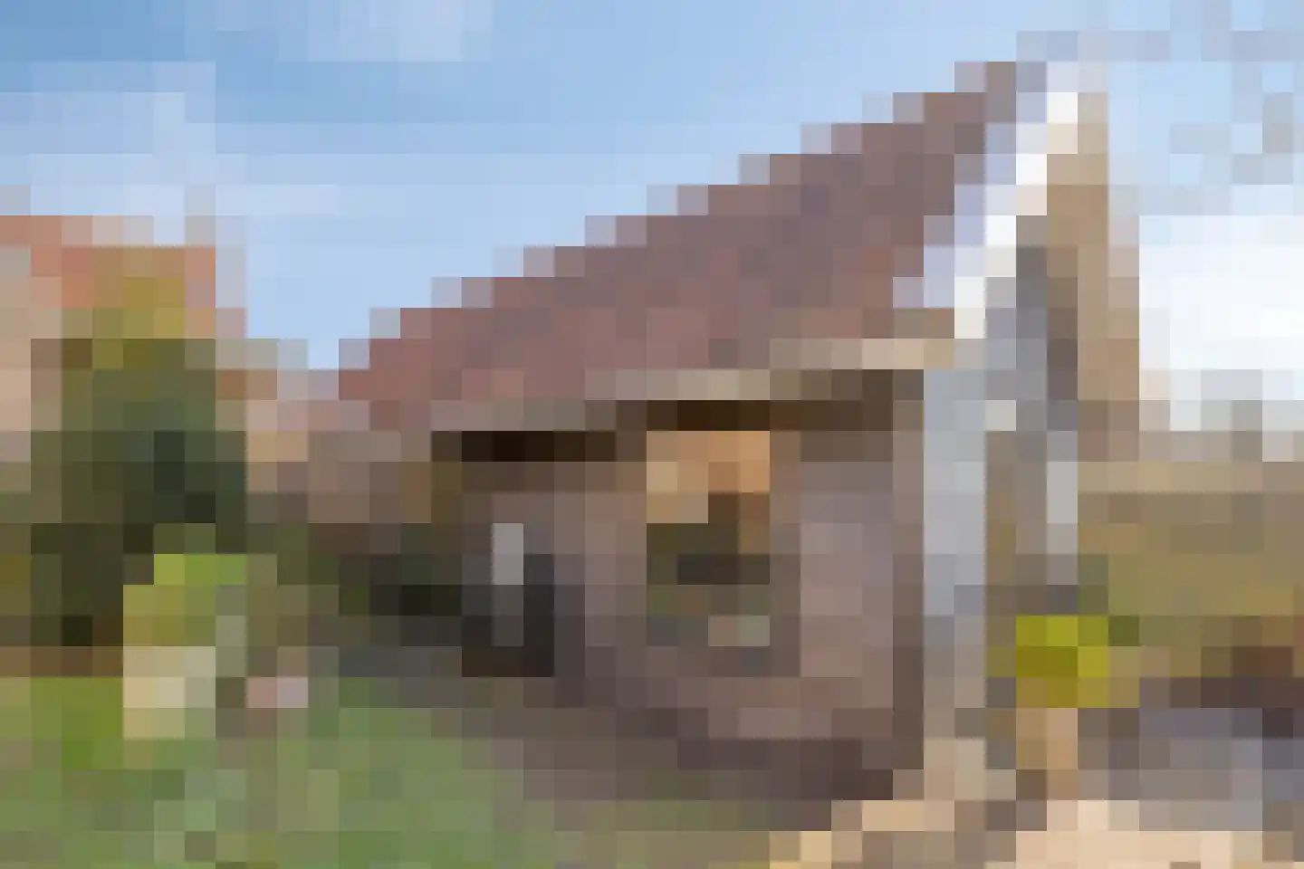 Westhavendijk 38 Wilhelminadorp thumbnail 32