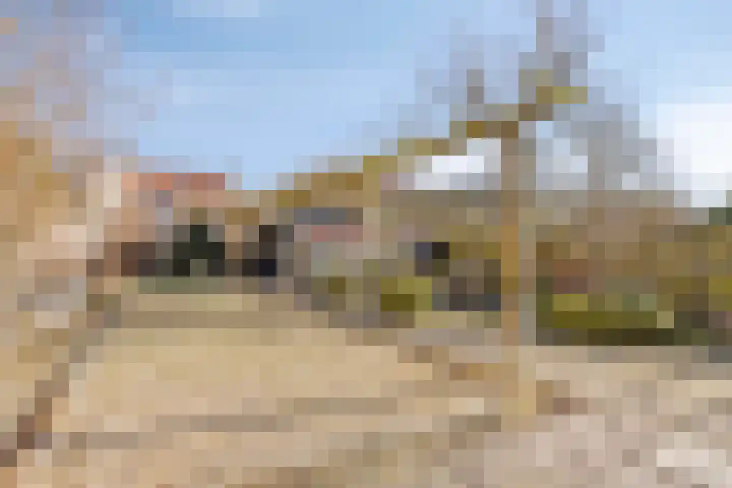 Westhavendijk 38 Wilhelminadorp thumbnail 43