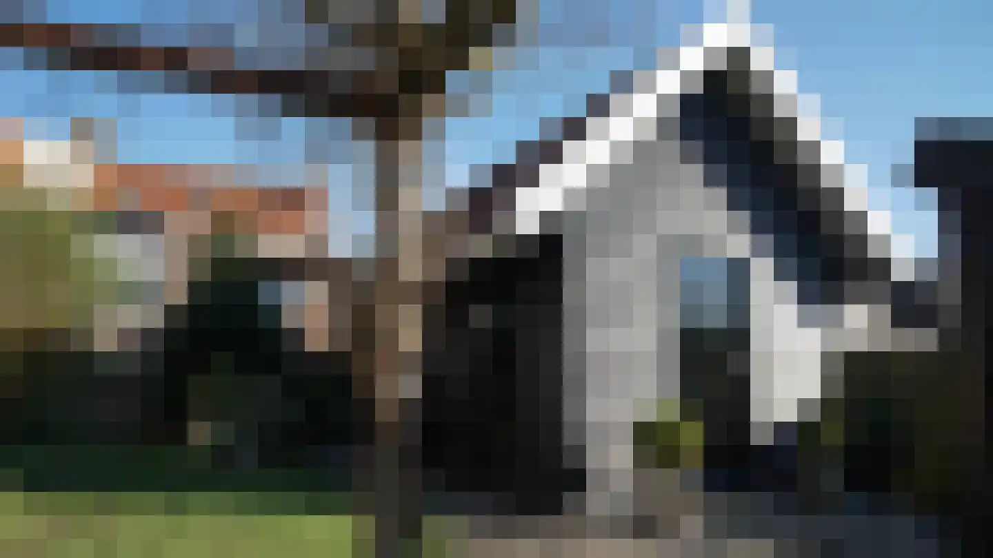 Westhavendijk 38 Wilhelminadorp thumbnail 63