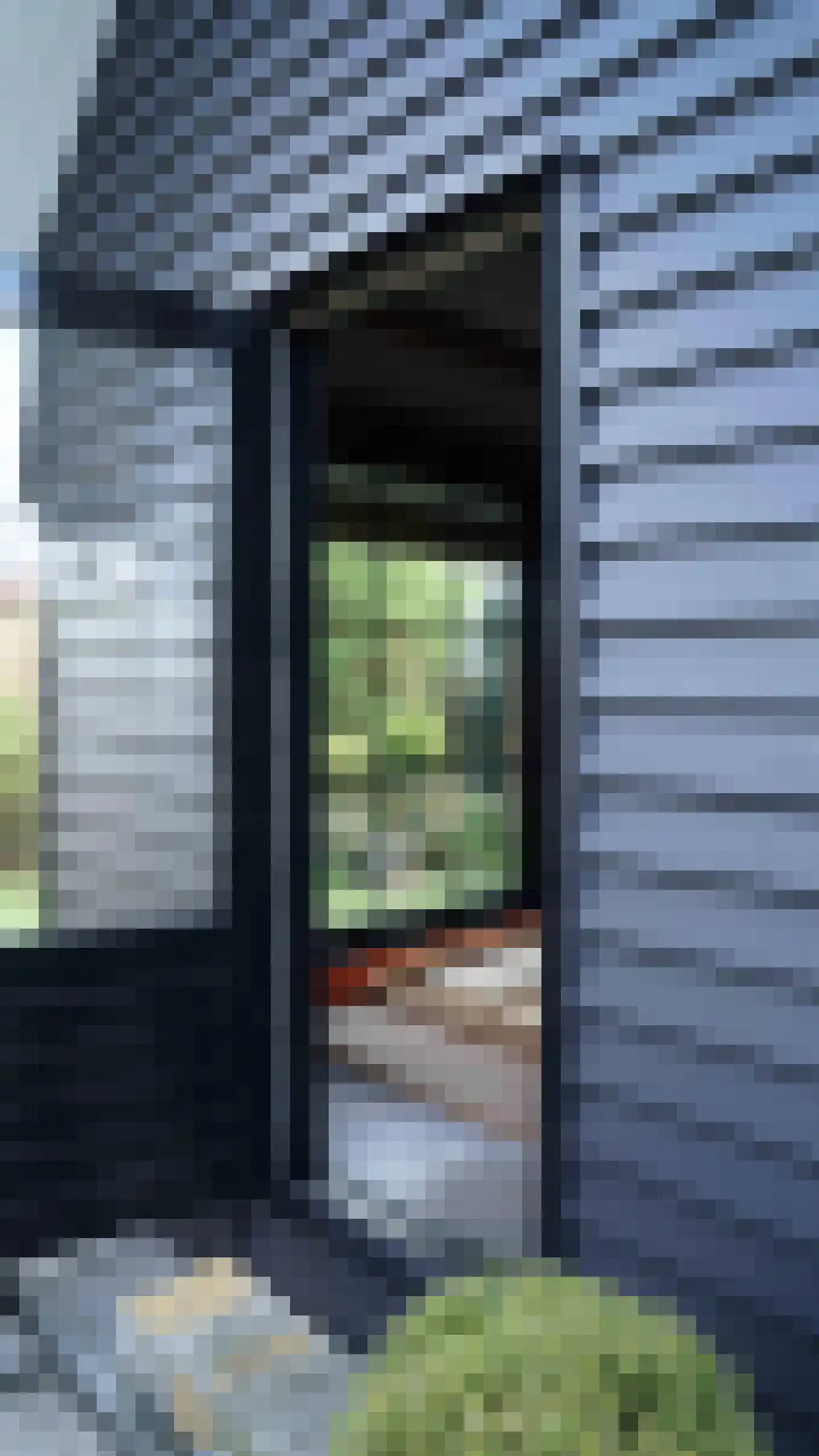 Westhavendijk 38 Wilhelminadorp thumbnail 64