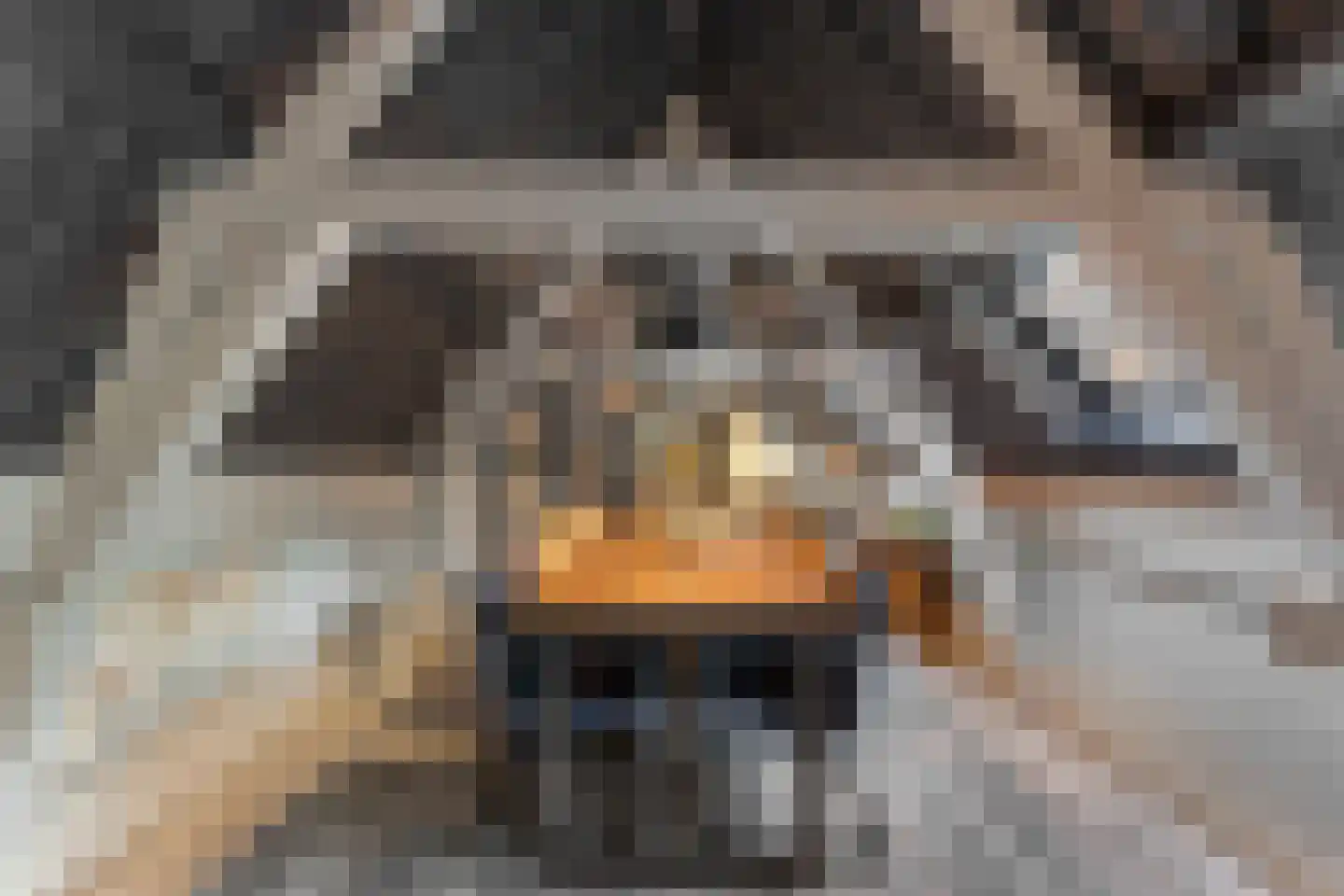 Westhavenkade 37 Vlaardingen thumbnail 31