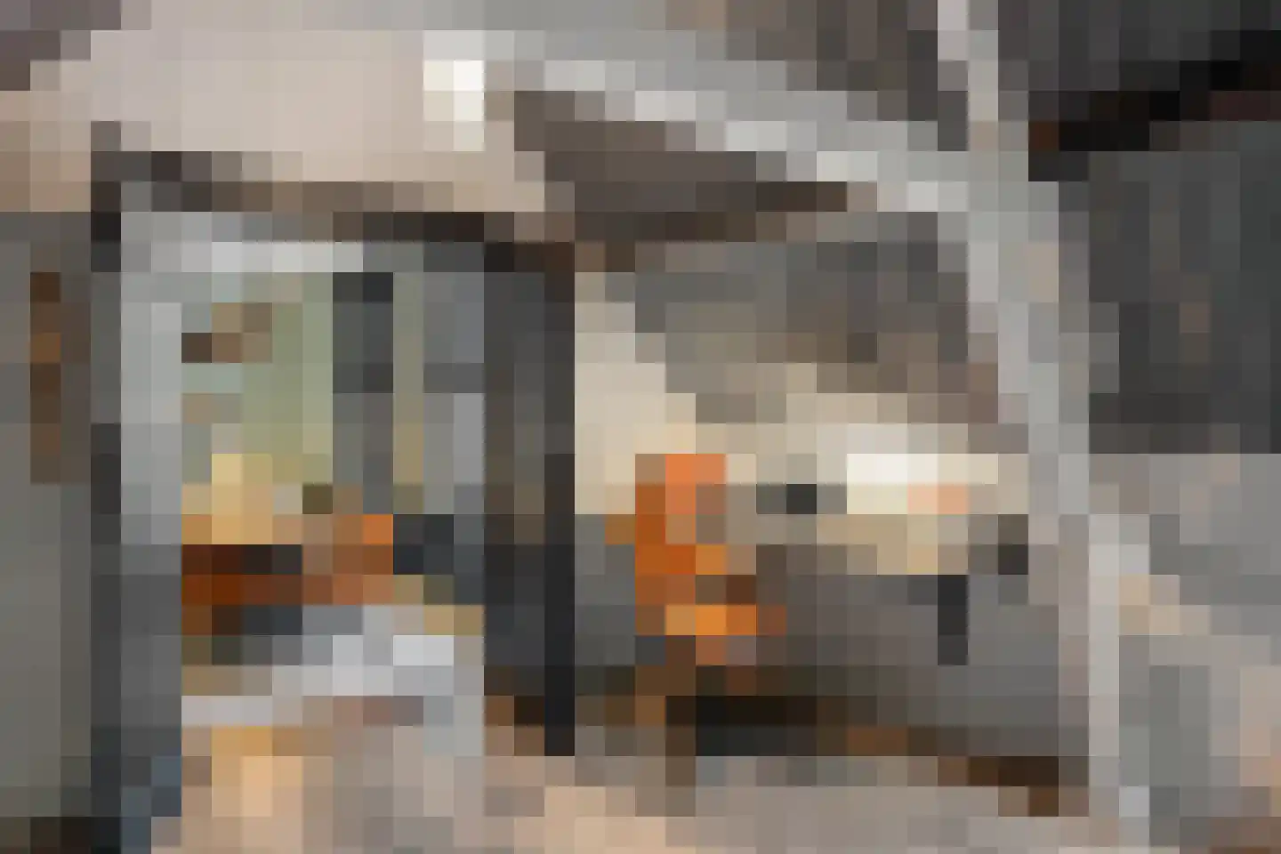 Westhavenkade 37 Vlaardingen thumbnail 32