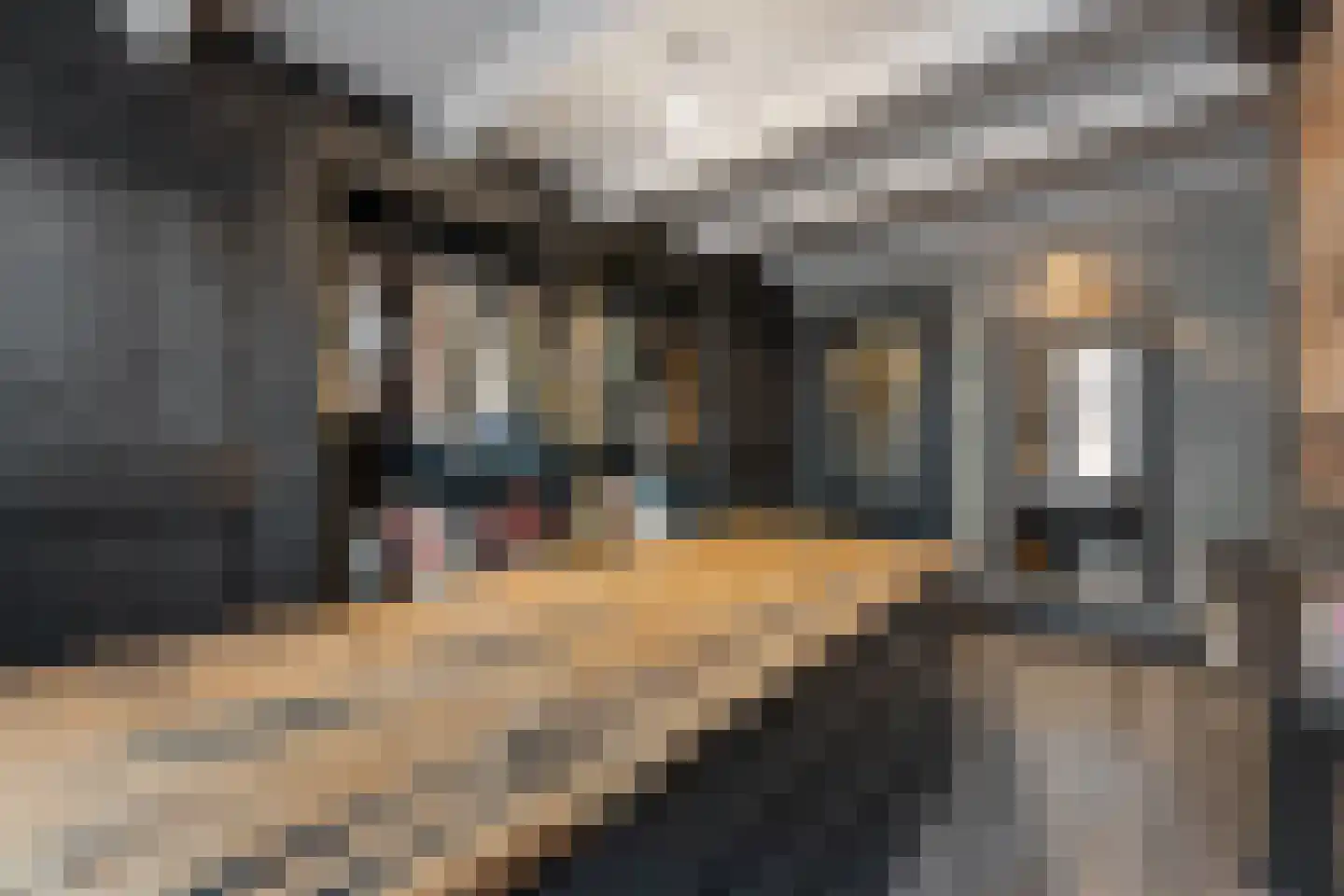 Westhavenkade 37 Vlaardingen thumbnail 44