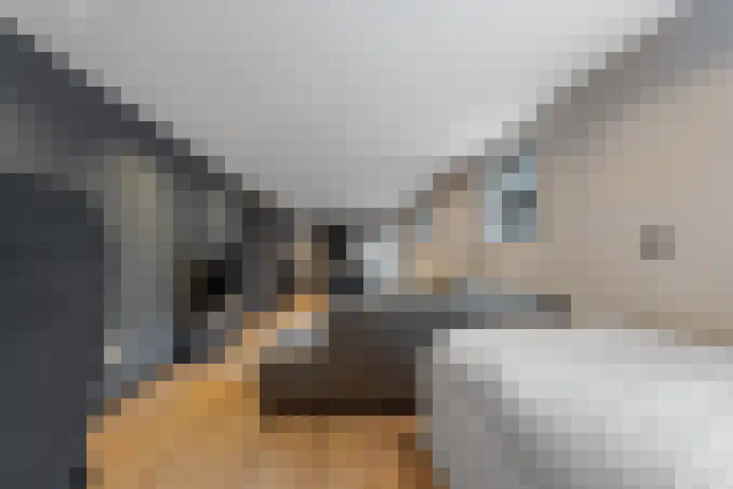 Westhavenkade 37 Vlaardingen thumbnail 68