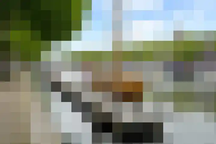 Westhavenkade 46 A Vlaardingen thumbnail 25