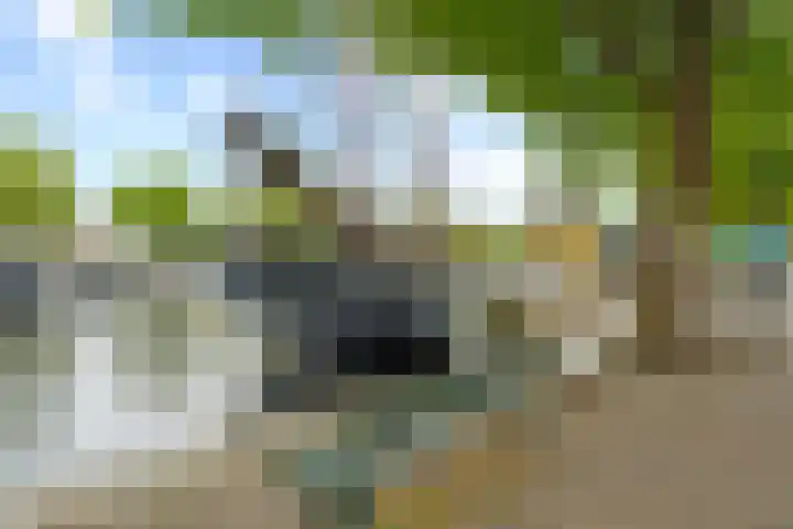 Westhavenkade 46 A Vlaardingen thumbnail 26
