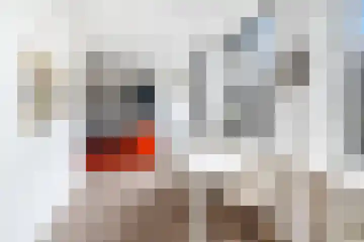 Westhavenkade 46 A Vlaardingen thumbnail 4