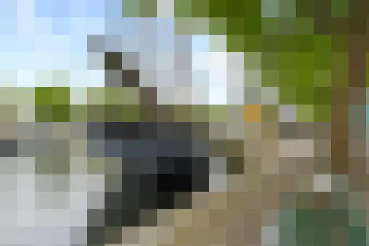 Westhavenkade 46 A Vlaardingen thumbnail 5