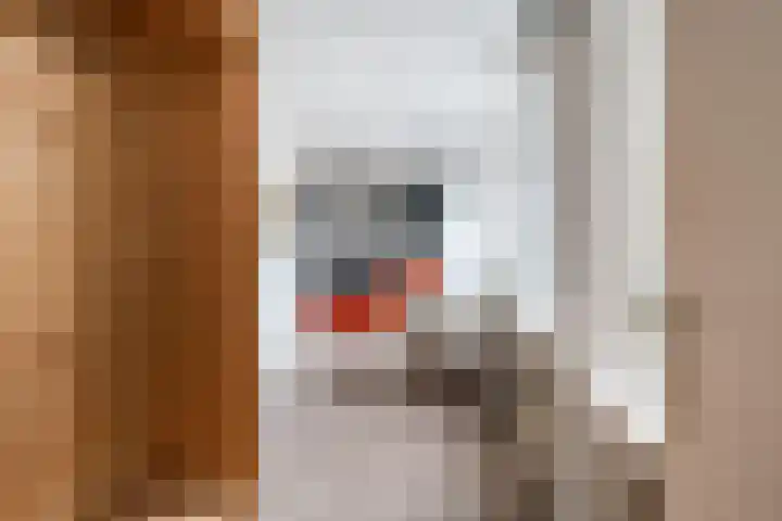 Westhavenkade 46 A Vlaardingen thumbnail 8