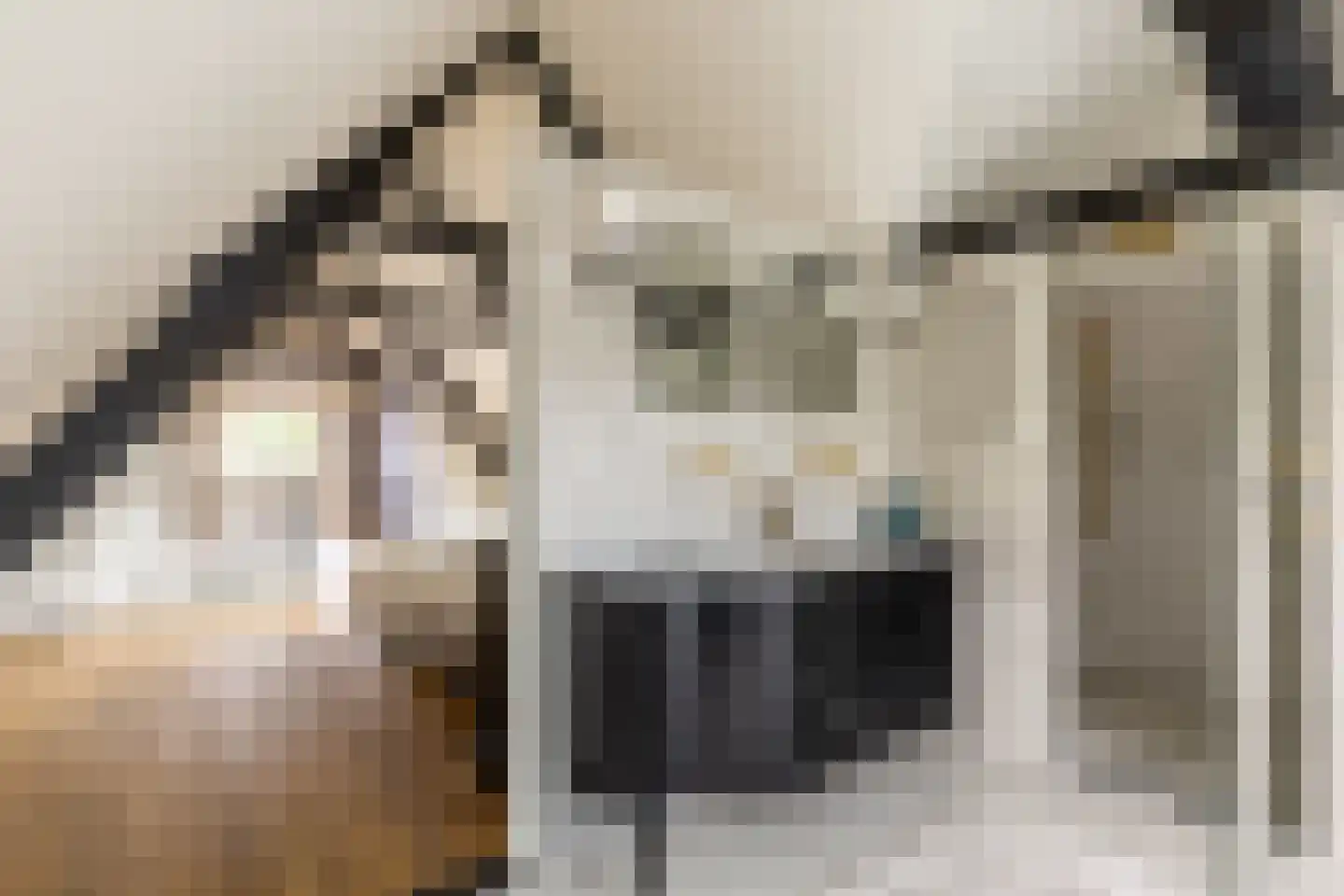 Westhavenkade 47 Vlaardingen thumbnail 34
