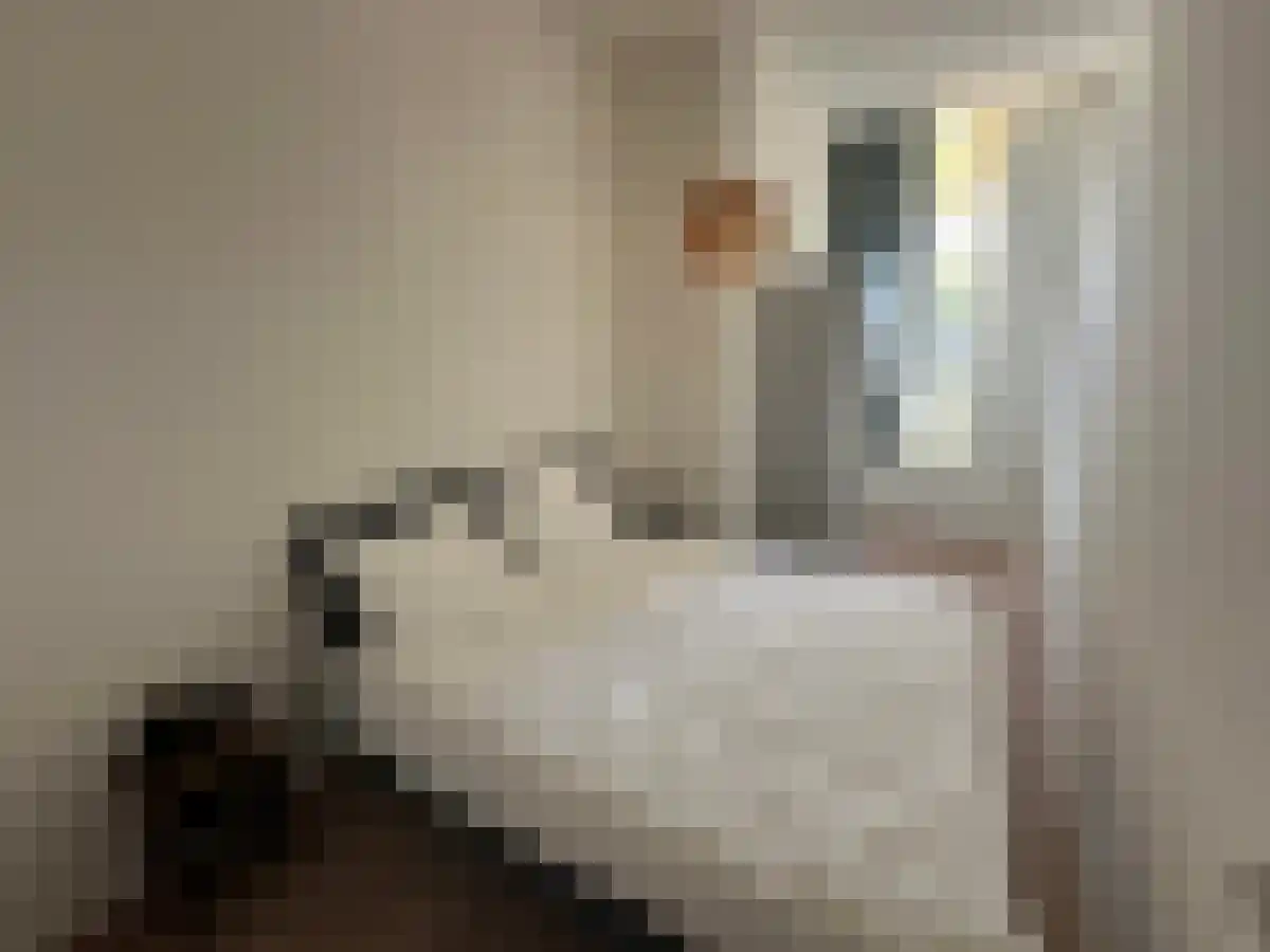 Westhavenkade 58 Vlaardingen thumbnail 6