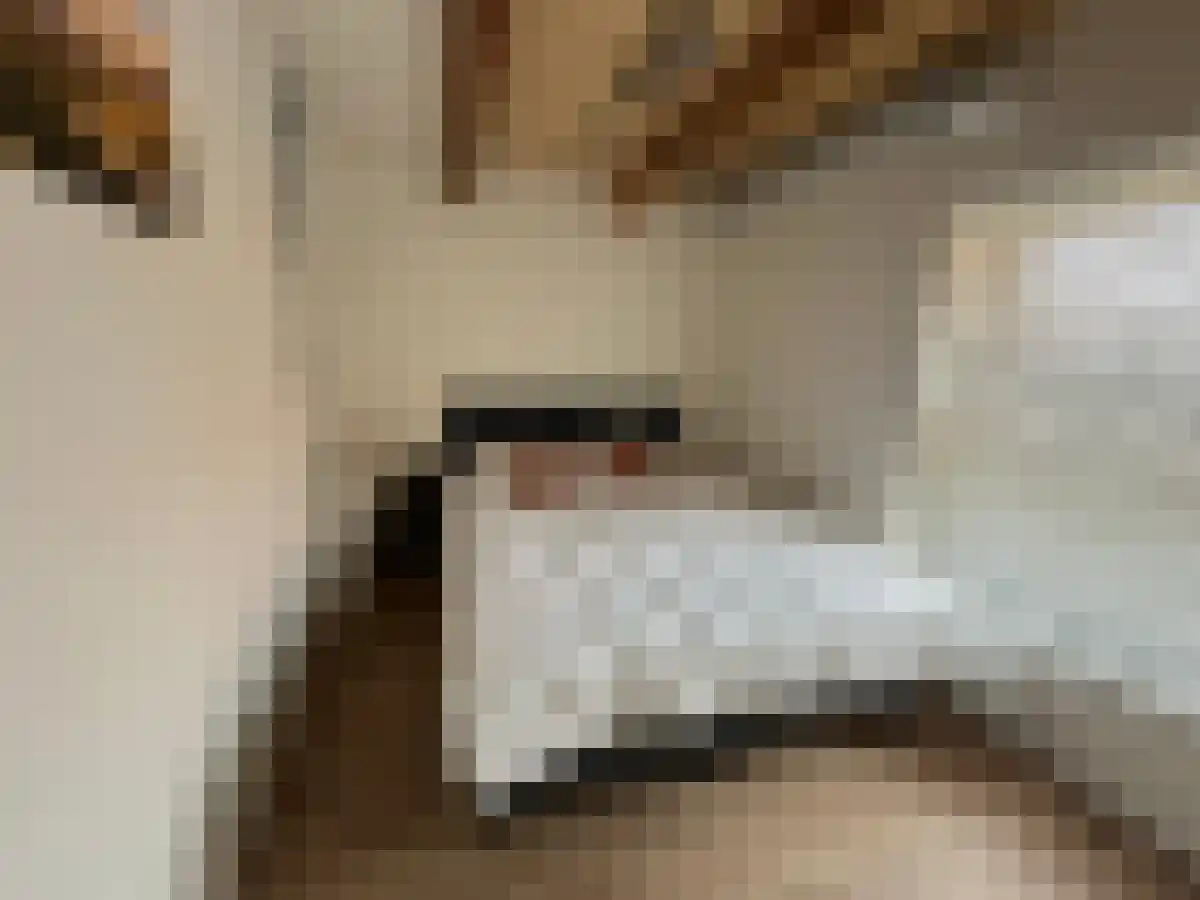 Westhavenkade 64 Vlaardingen thumbnail 4