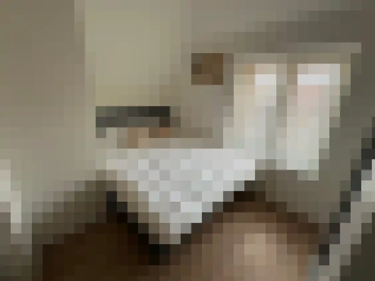 Westhavenkade 64 Vlaardingen thumbnail 5