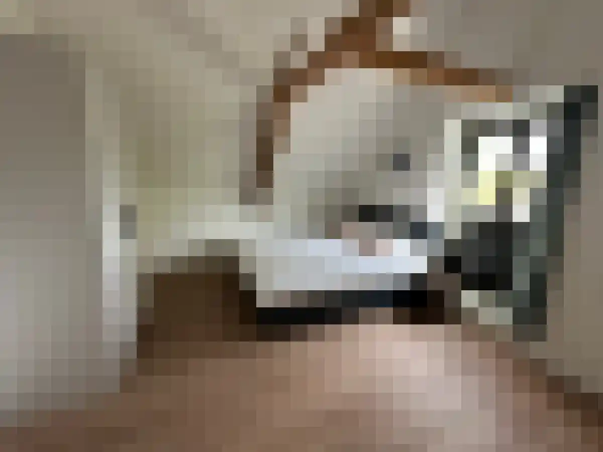 Westhavenkade 64 Vlaardingen thumbnail 6