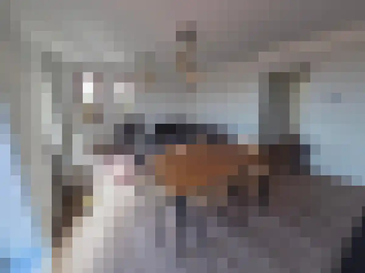 Westhavenkade 71 Vlaardingen thumbnail 4