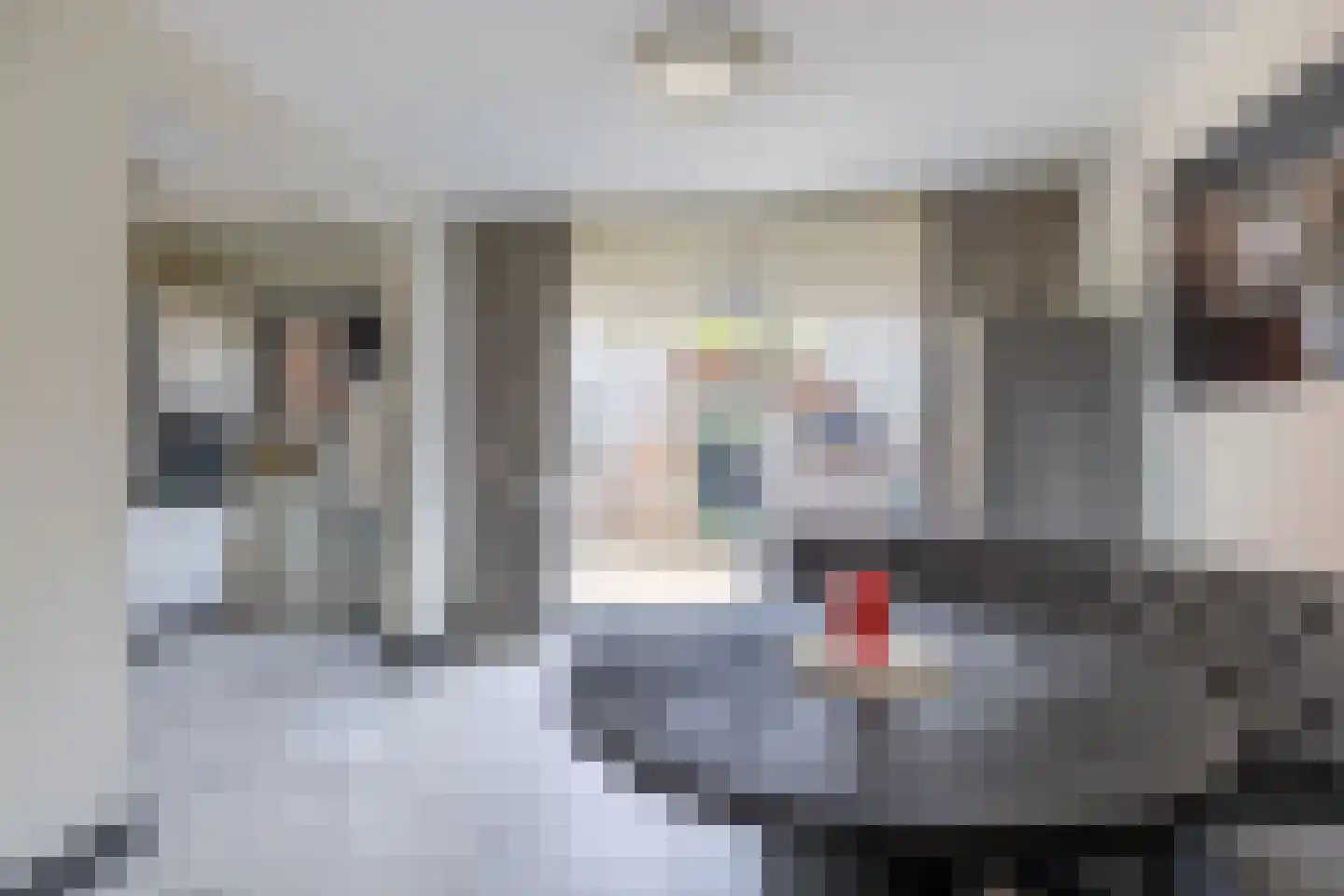 Westhemstraat 1 Sneek thumbnail 18