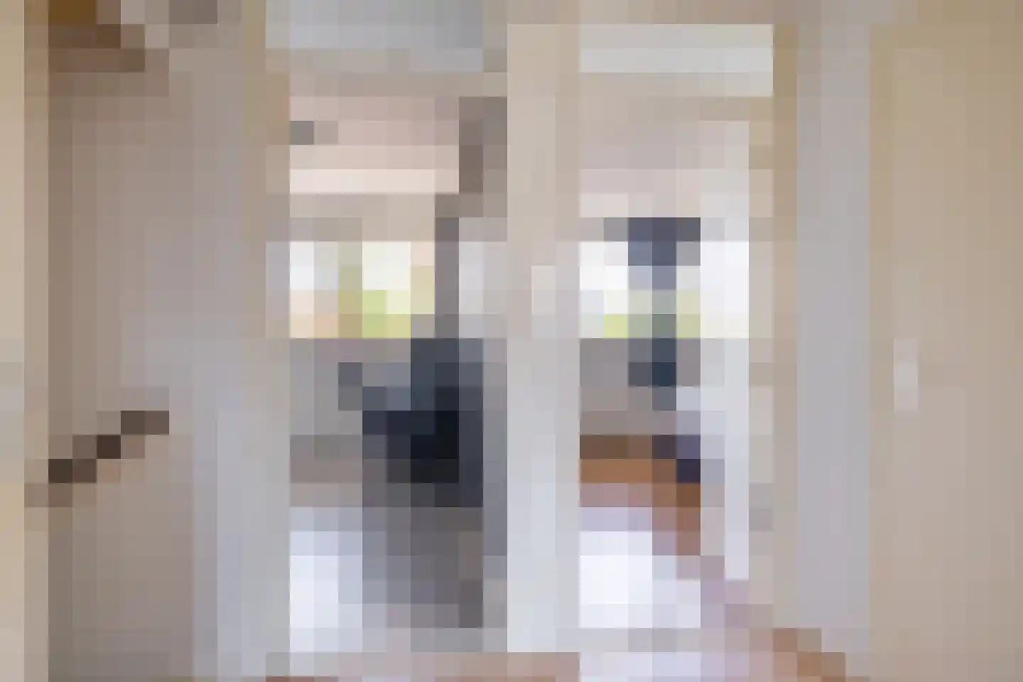 Westhemstraat 1 Sneek thumbnail 25