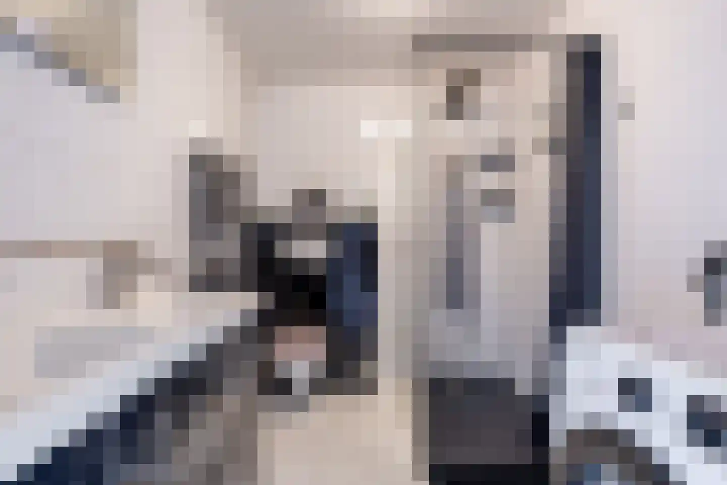 Westhemstraat 1 Sneek thumbnail 37
