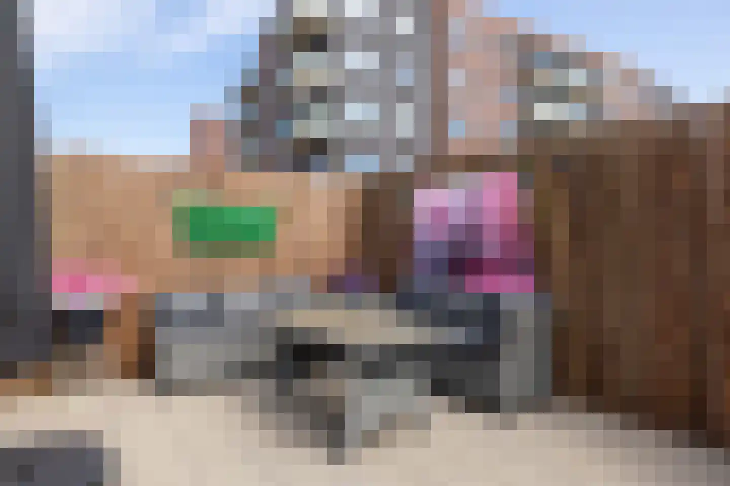 Westhemstraat 1 Sneek thumbnail 49