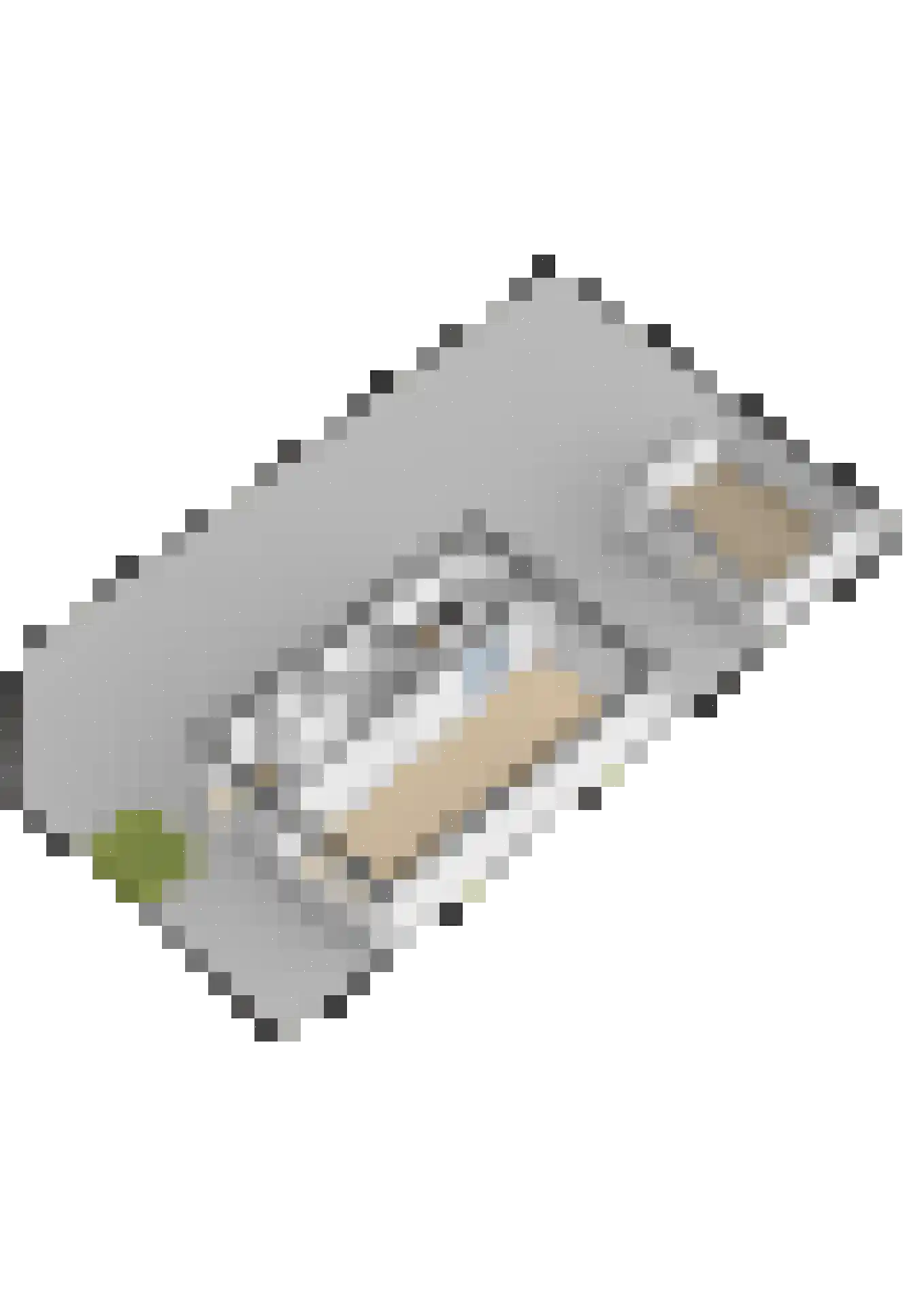 Westhemstraat 1 Sneek thumbnail 66