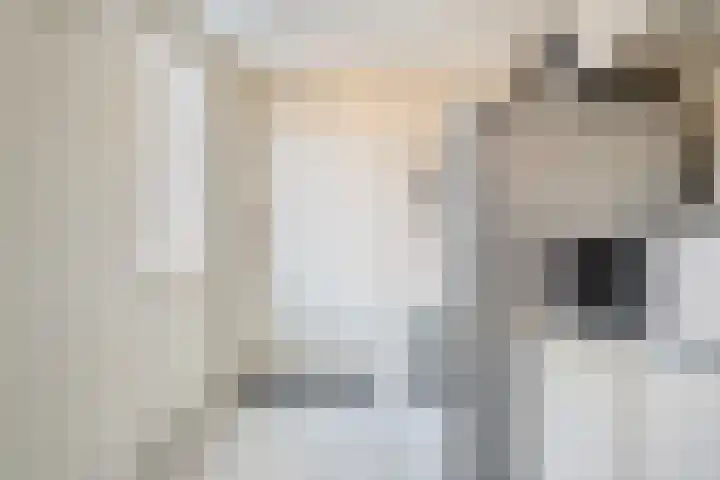 Westhemstraat 22 Sneek thumbnail 17