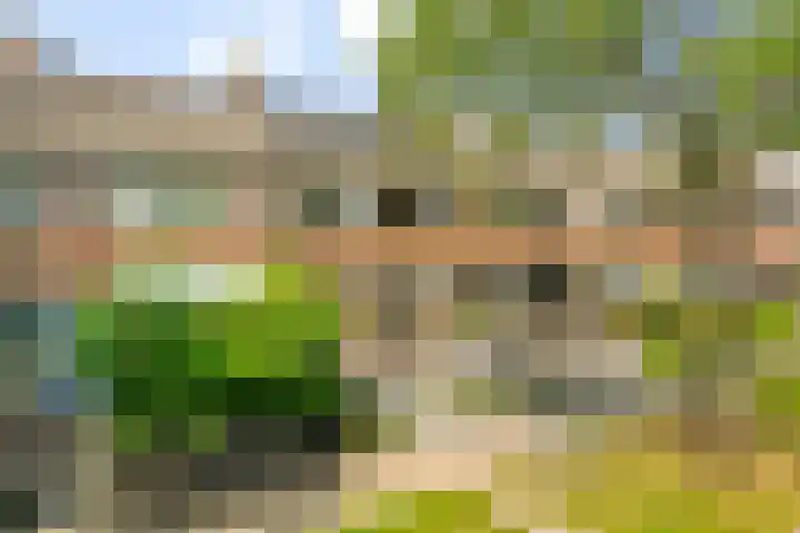 Westhemstraat 22 Sneek thumbnail 37