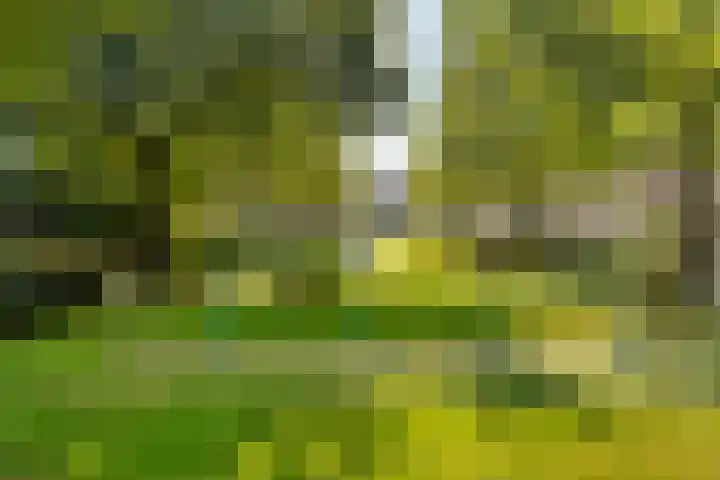 Westhemstraat 22 Sneek thumbnail 39