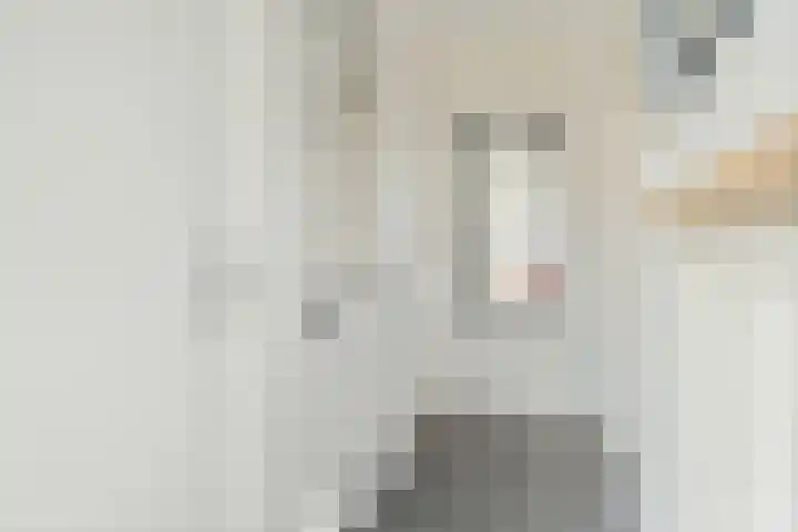 Westhemstraat 22 Sneek thumbnail 5