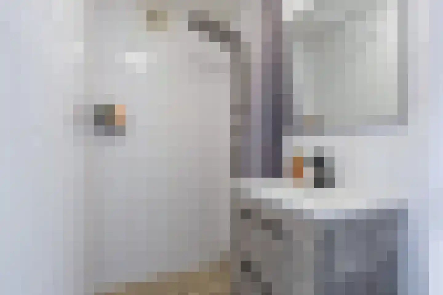 Westhemstraat 29 Sneek thumbnail 35