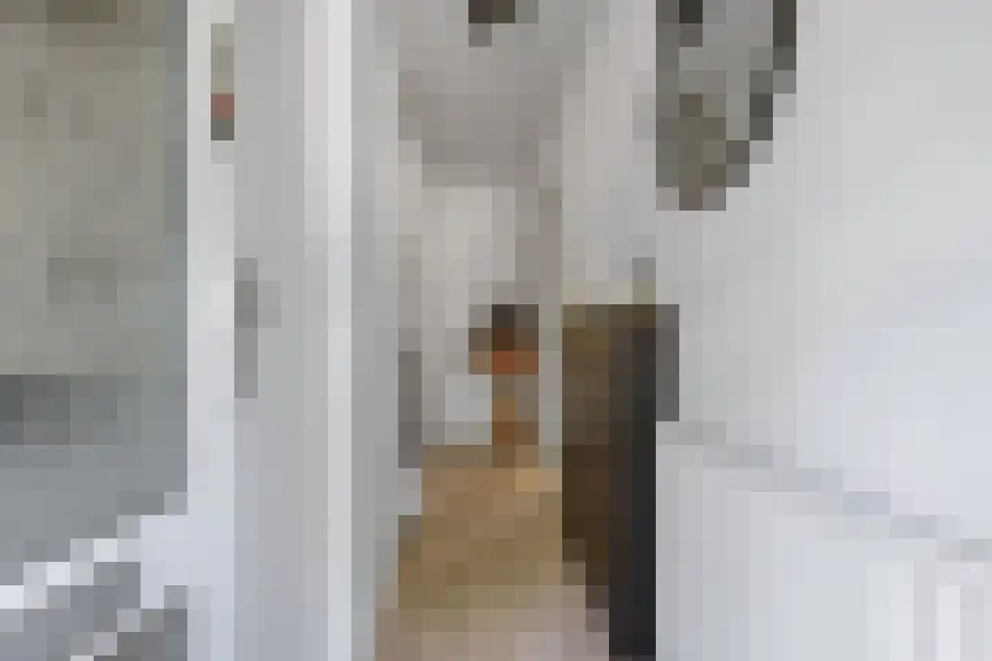 Westhemstraat 29 Sneek thumbnail 8