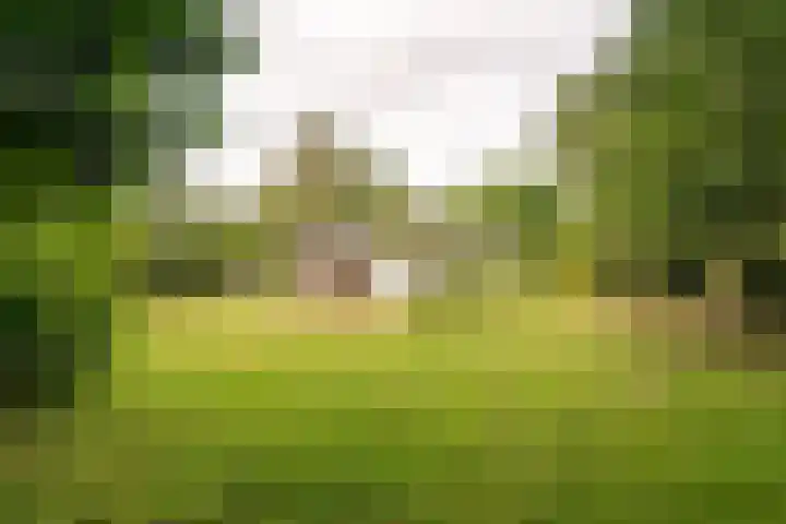 Westhoek 11 Renesse thumbnail 12
