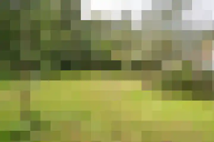 Westhoek 11 Renesse thumbnail 13