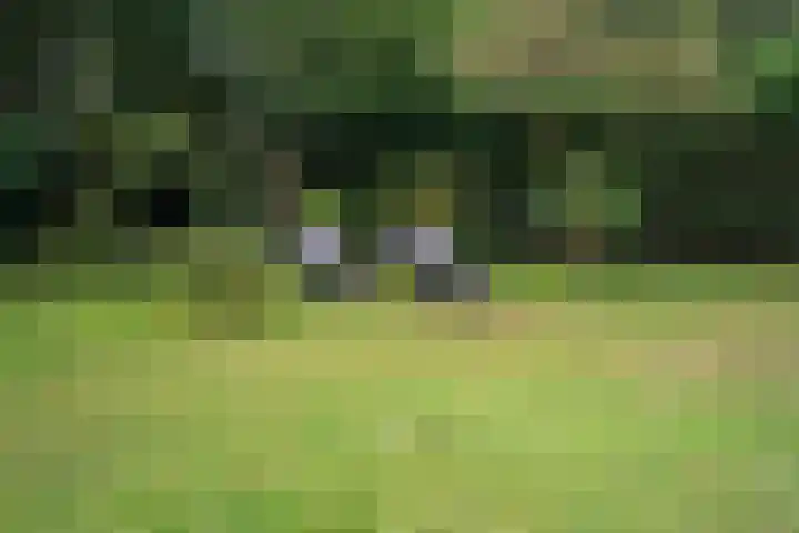 Westhoek 11 Renesse thumbnail 14