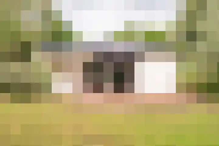 Westhoek 11 Renesse thumbnail 15