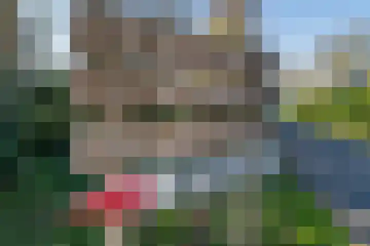 Westhoek 11 Renesse thumbnail 16