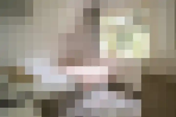 Westhoek 11 Renesse thumbnail 7