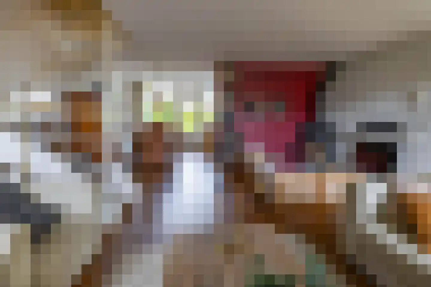 Westhove 1 Roden thumbnail 13