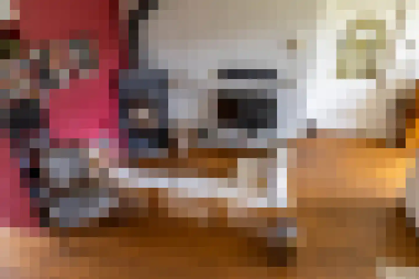 Westhove 1 Roden thumbnail 16