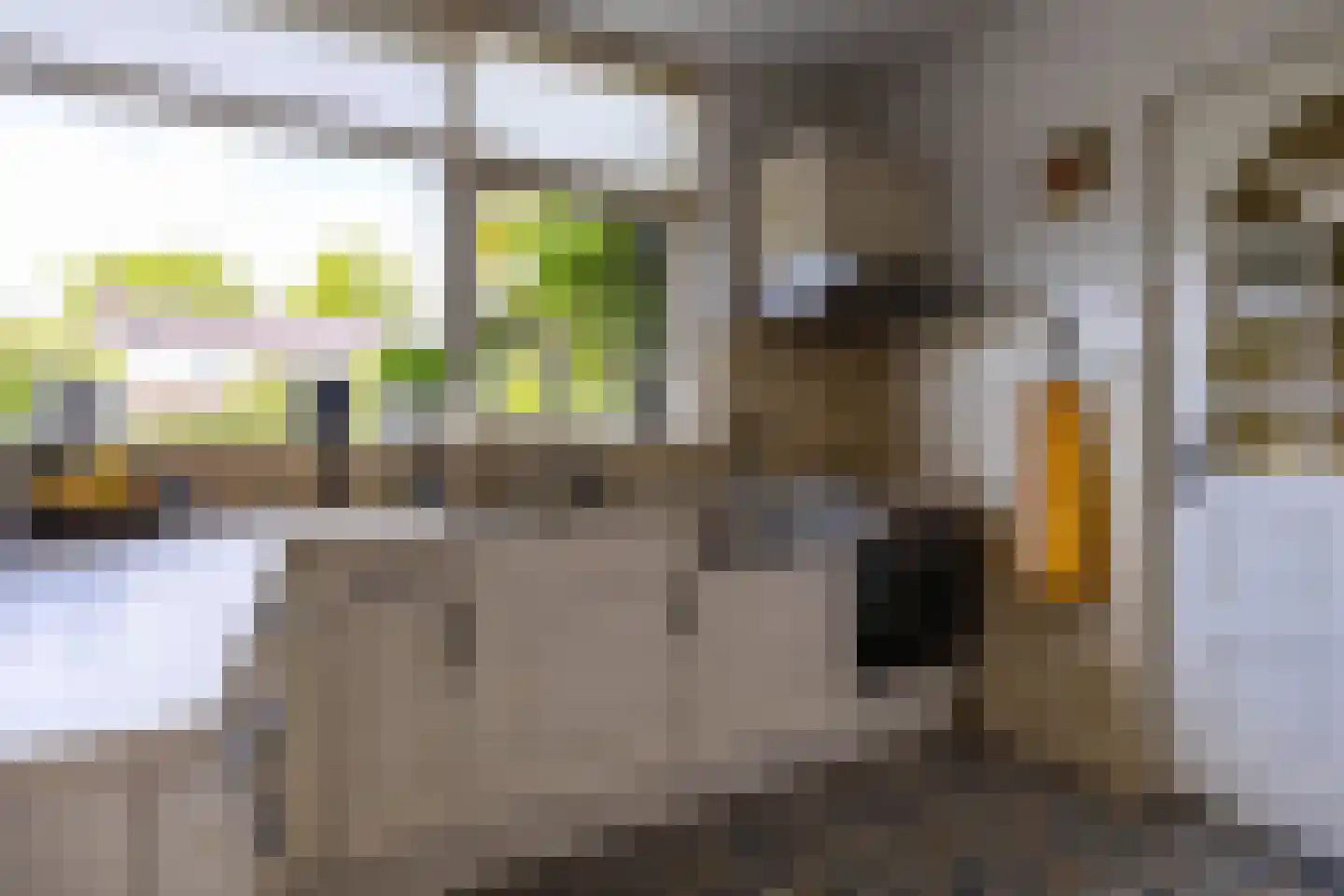 Westhove 1 Roden thumbnail 19