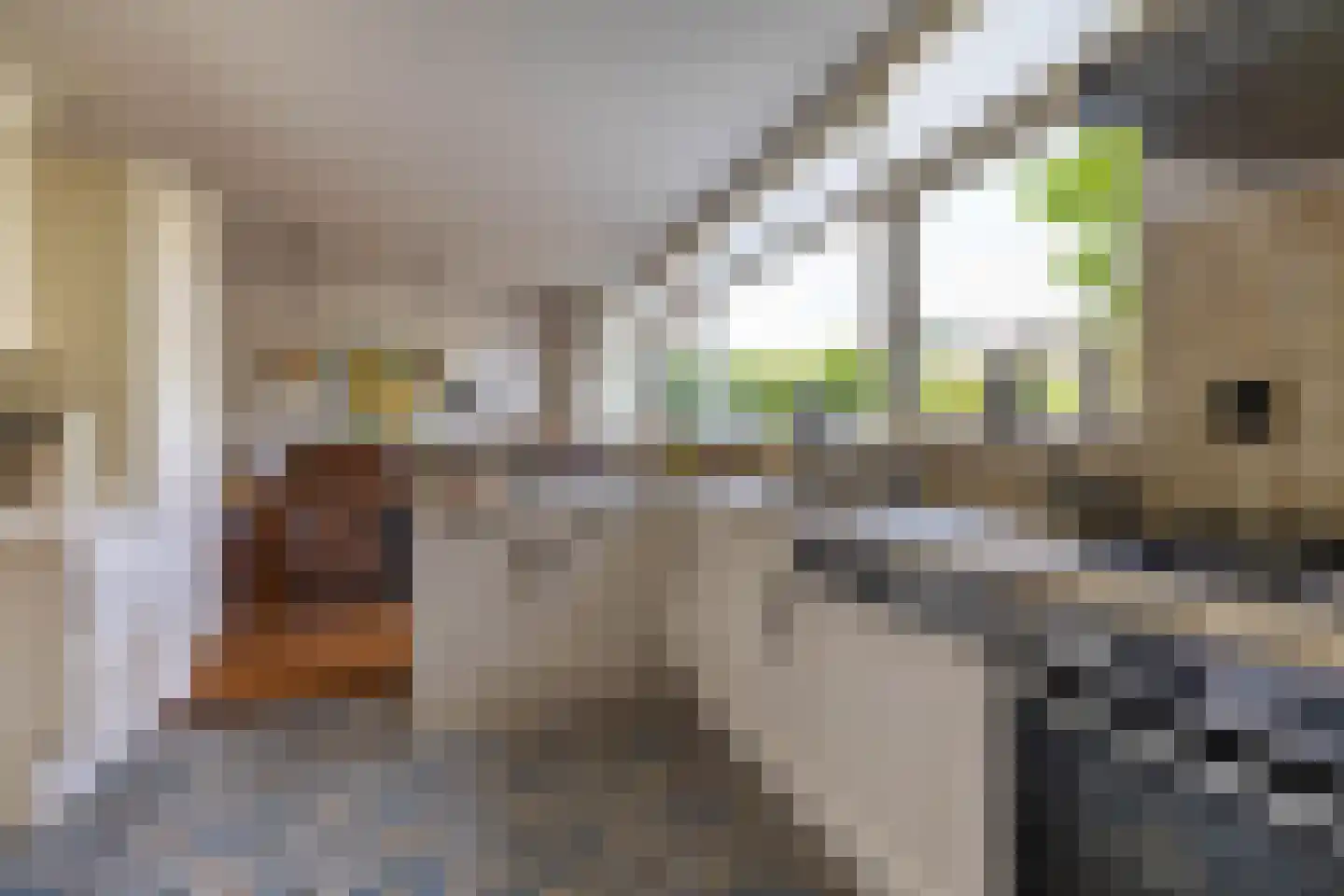 Westhove 1 Roden thumbnail 20