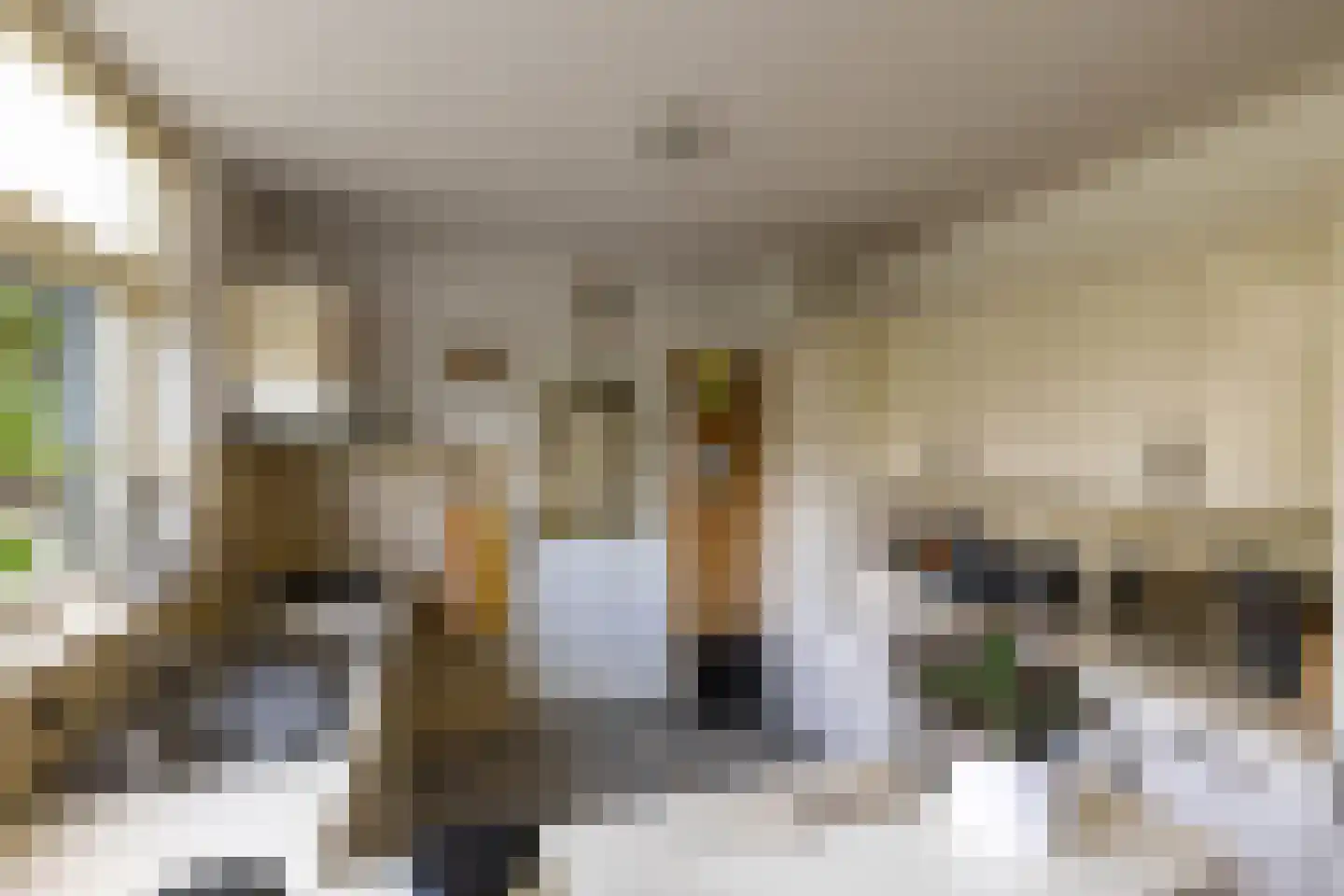 Westhove 1 Roden thumbnail 21