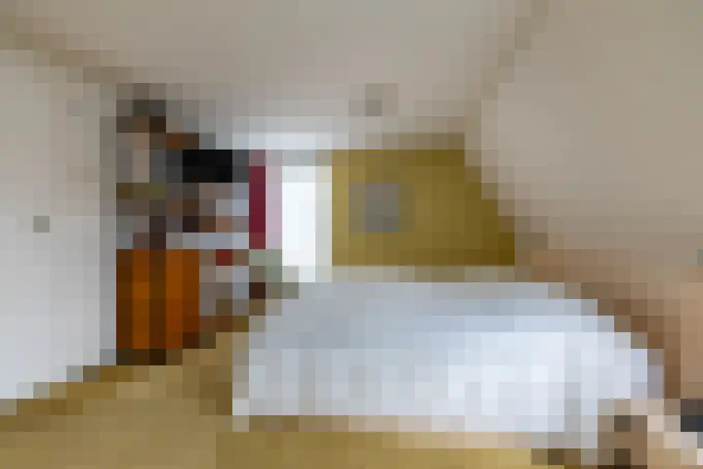 Westhove 1 Roden thumbnail 22