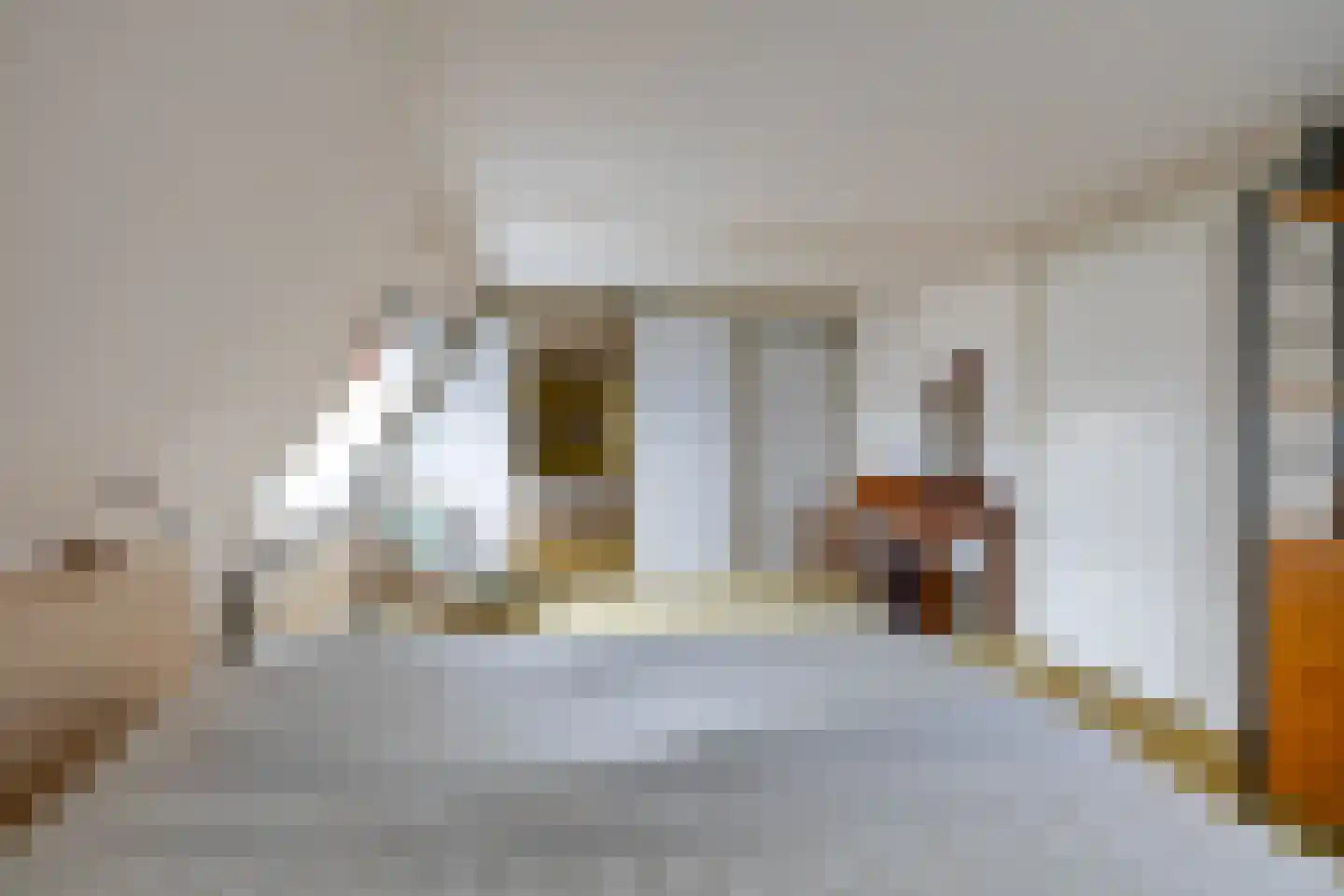 Westhove 1 Roden thumbnail 23